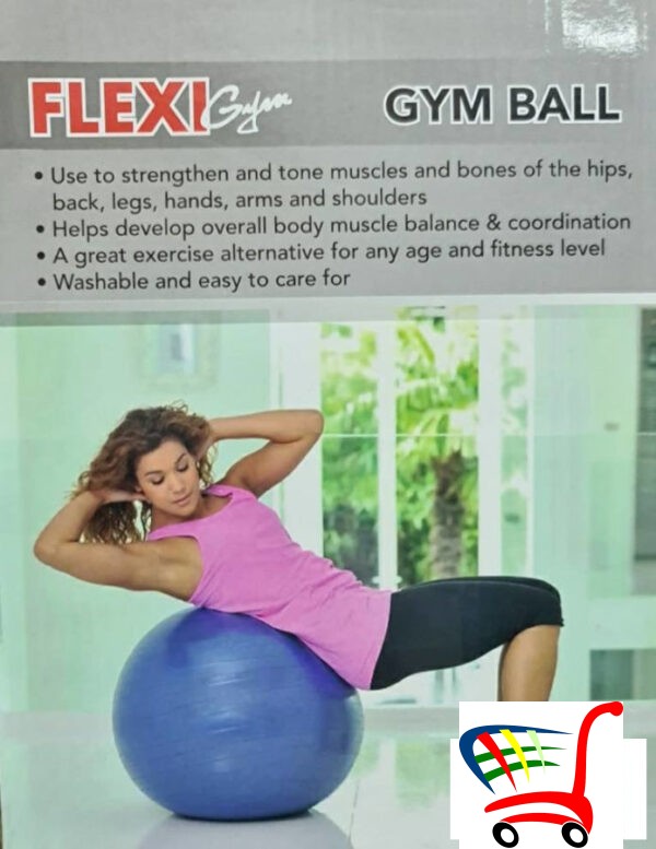 Fitness Lopta Za Vebanje - 65Cm Gym Ball