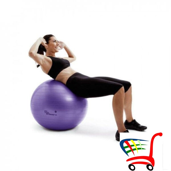 Flexi Gym Ball 65Cm -