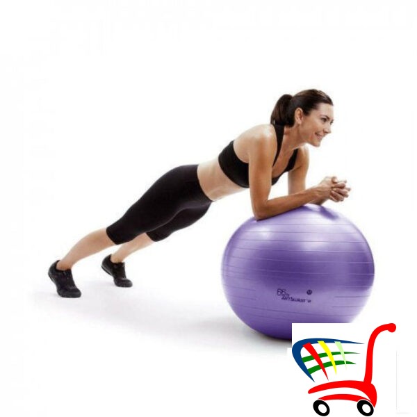 Flexi Gym Ball 65Cm -