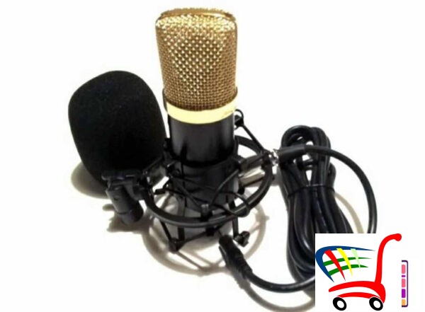 Mikrofon Studijski - Bm 700 Kondenser Microphone