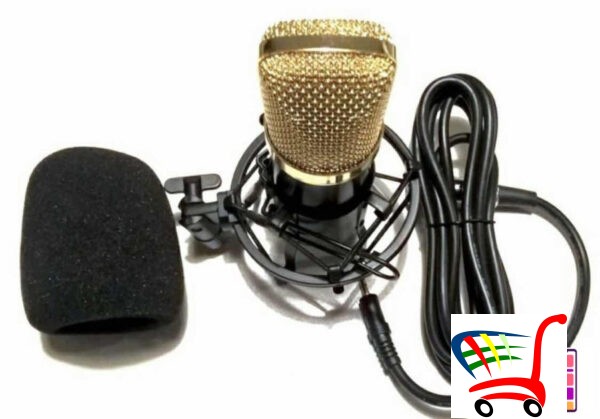 Mikrofon Studijski - Bm 700 Kondenser Microphone