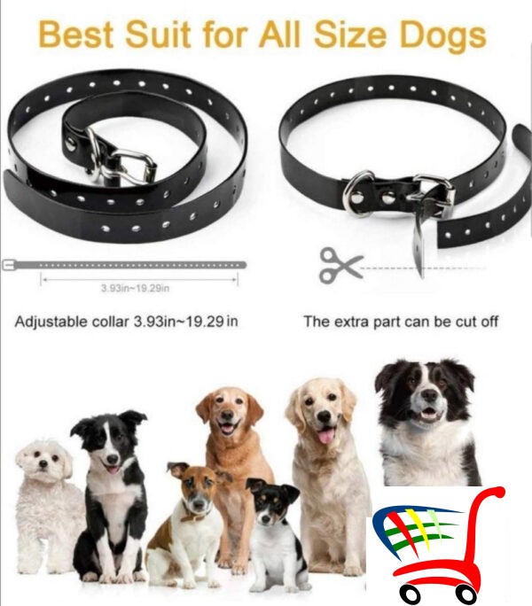 Ogrlica Za Treniranje Pasa - Pse