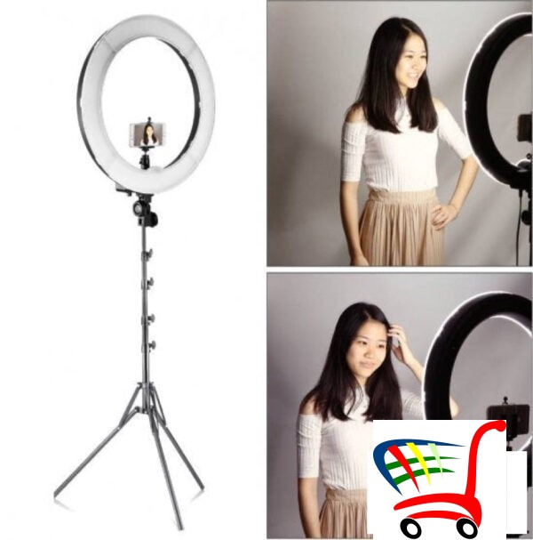 Ring Light 10 Inca -