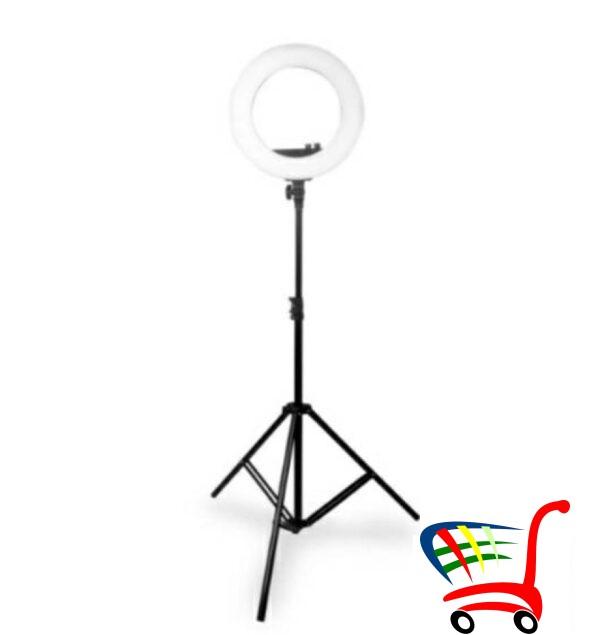 Ring Light 8 Sa Stalkom -