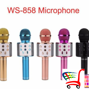 Ws 858 Wireless Karaoke Mikrofon -