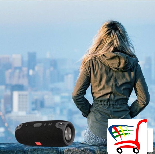 Zvunik Bluetooth/Xtreme/Waterproof -