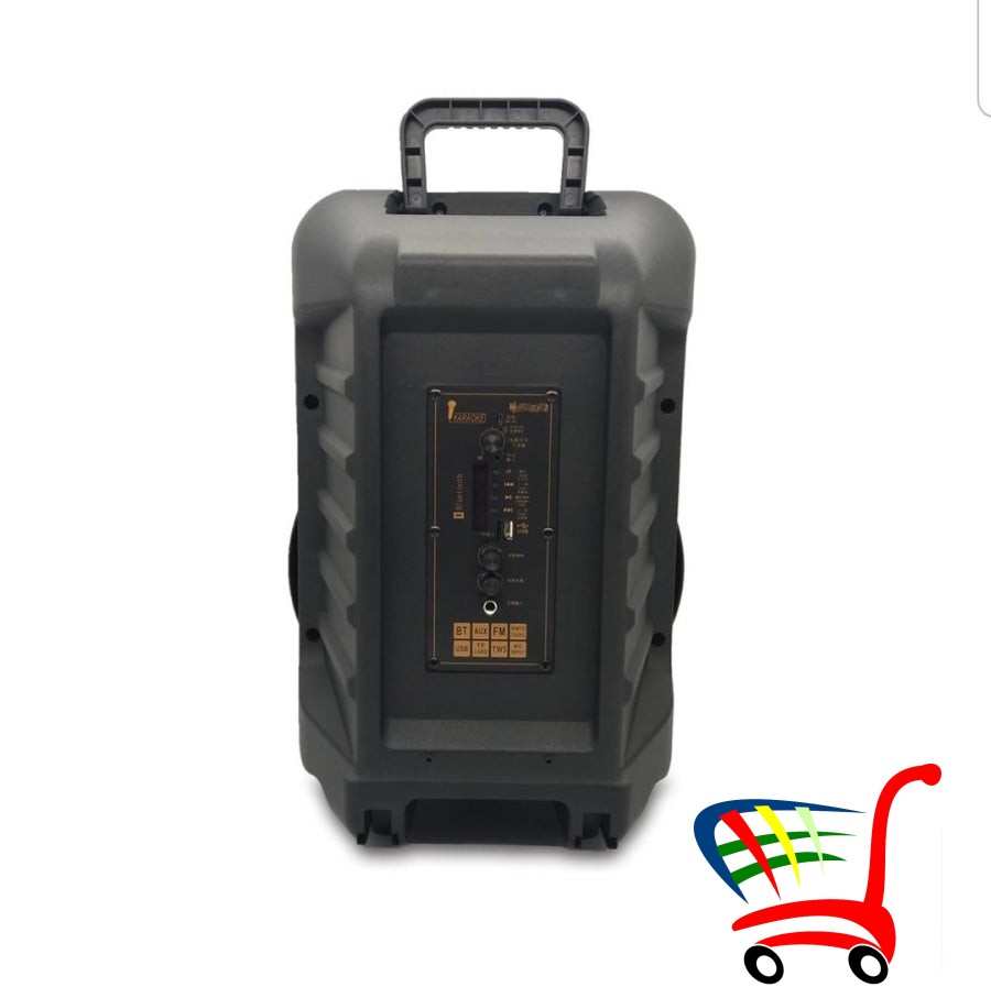 Zvucnik Portable Speaker 12 -