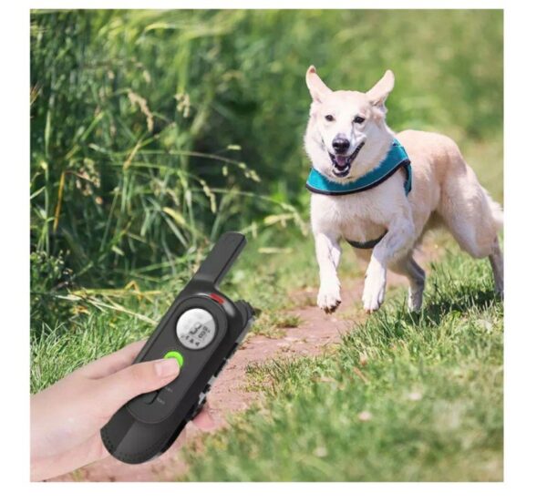 Teletakt ogrlica za trening i dresuru pasa Profi 300m 2 memo - Teletakt ogrlica za trening i dresuru pasa Profi 300m 2 memo - Image 2